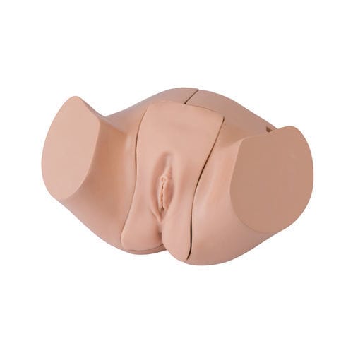 Catheterization simulator - LM-109F - KOKEN  - anatomy / female / adult