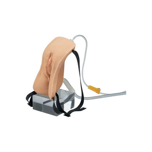 Injection simulator - LM-025 - KOKEN  - catheterization / drainage / for general care