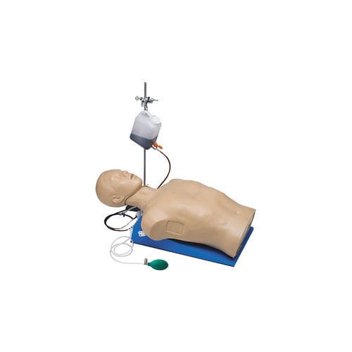 General care training manikin - LM-093 - KOKEN  - emergency care / surgical / puncture