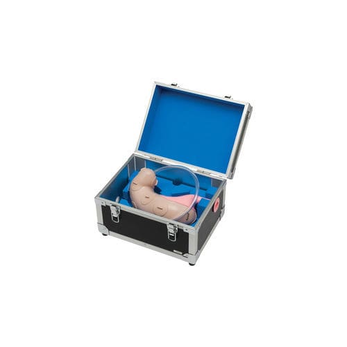 Stomach model - LM-083 - KOKEN  - esophagus / gastric / body