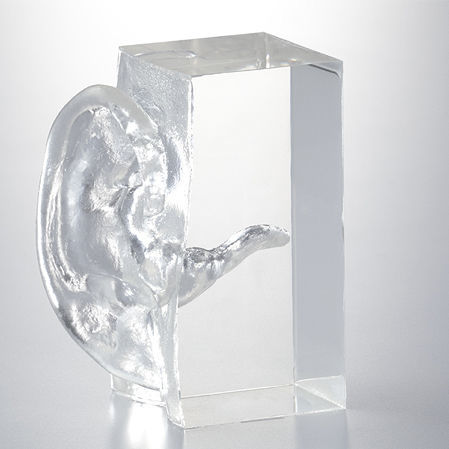 Ear canal model - LM-002 series - KOKEN  - for teaching / transparent