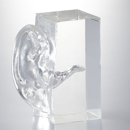 Sinus model - LM-104 - KOKEN  - larynx / for teaching / swallowing
