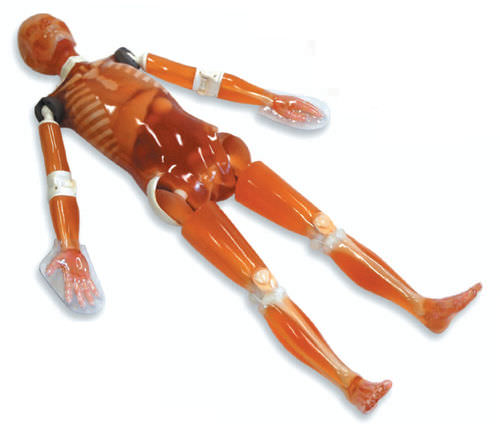CT scan test phantom - "PBU-60" - Kyoto Kagaku  - whole body
