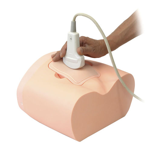 Ultrasound imaging test phantom - US-16　 - Kyoto Kagaku  - bladder