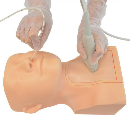 Ultrasound imaging test phantom - US-20 - Kyoto Kagaku  - head / neck
