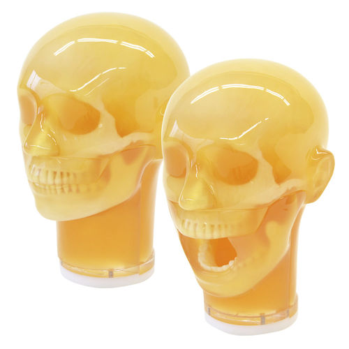 Dental radiography test phantom PH76 Kyoto Kagaku head