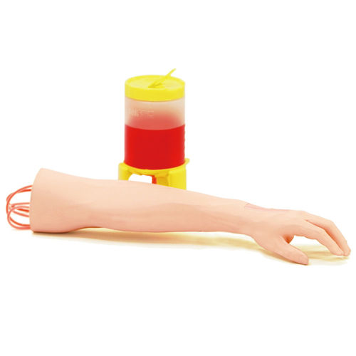 General care training manikin - MW9  - Kyoto Kagaku  - nursing care / intravenous injection / vascular access