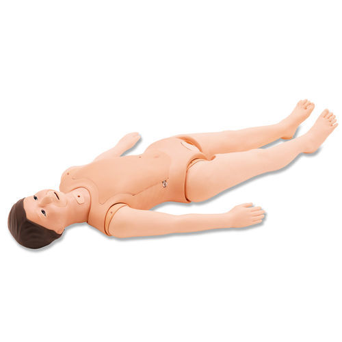 Training simulator - M56A/B - Kyoto Kagaku  - catheterization / tracheostomy / feeding