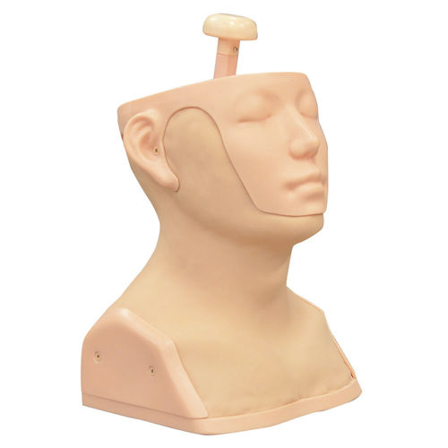 Training simulator - MW30 - Kyoto Kagaku  - palpation / for general care / head
