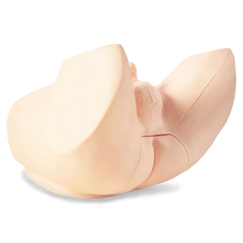Training simulator - M53B - Kyoto Kagaku  - palpation / prostate examination / for general care
