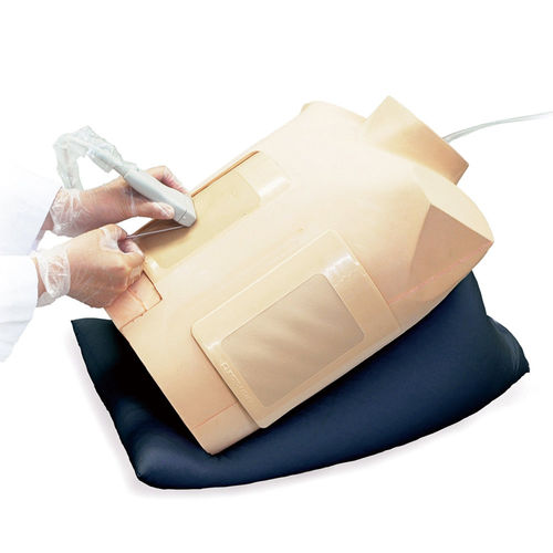 Thoracentesis simulator - MW17 - Kyoto Kagaku  - training / palpation / for general care