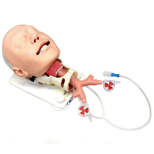 Airway management simulator - MW14 - Kyoto Kagaku - training / for ...