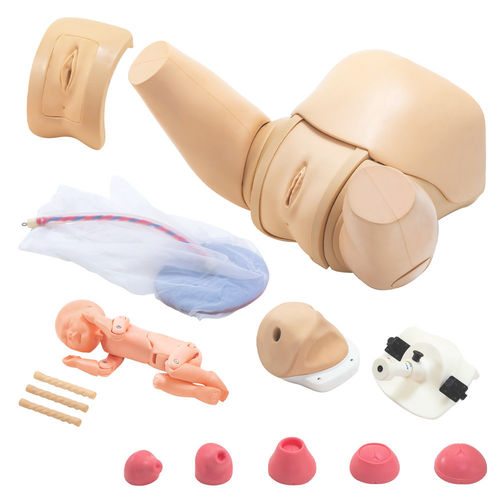Delivery patient simulator - MW40 - Kyoto Kagaku  - obstetrical/gynecological / woman / pelvis