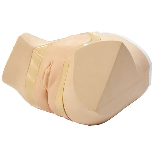Urinary catheterization simulator - MW52 - Kyoto Kagaku  - training / for urological care / female