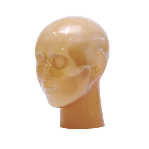 CT scan test phantom - ACS - Kyoto Kagaku  - head