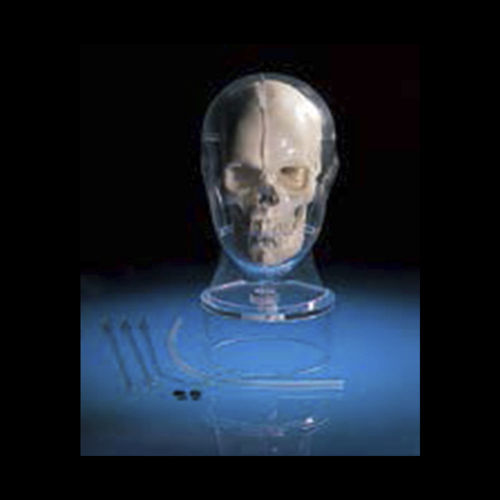 MRI test phantom - PH-34 - Kyoto Kagaku  - head
