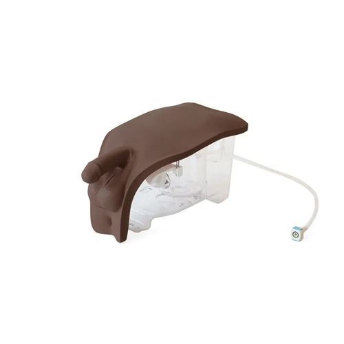 Catheterization simulator - 60855 - Limbs & Things - for male catheterization / anatomy / for general care