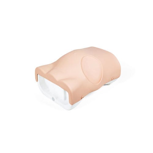 Palpation simulator - 60100 - Limbs & Things - drainage / paracentesis / training