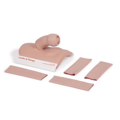 Circumcision simulator - 60395 - Limbs & Things - training / surgical / male