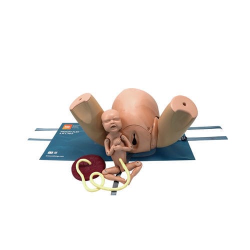 Delivery patient simulator - 80100 - Limbs & Things - suture / emergency care / female