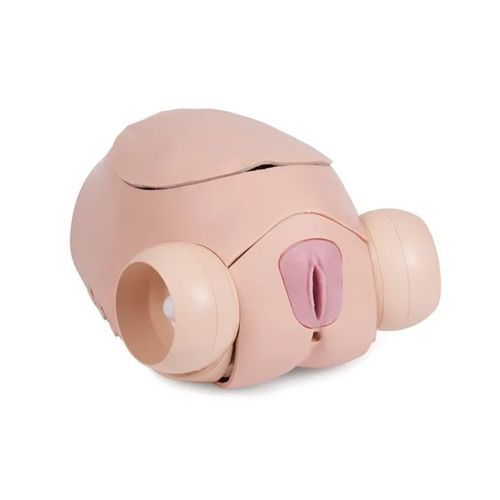 Pelvic examination simulator - 60251 - Limbs & Things - laparoscopic / training / hysterectomy