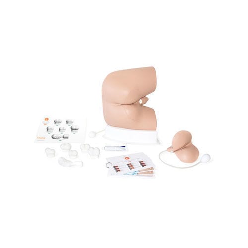 Rectal examination simulator - 60171 - Limbs & Things - training / for general care / male