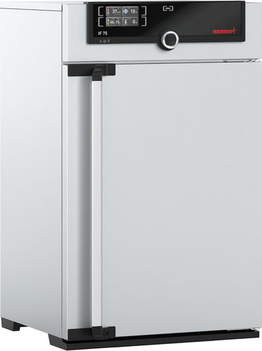 Forced air laboratory incubator - IF75m - Memmert GmbH + Co. KG - medical / benchtop / stainless steel