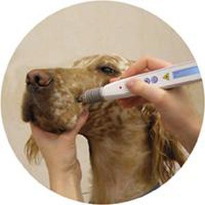 Veterinary biostimulation laser - RJ-LASER - Reimers & Janssen - veterinary acupuncture / diode / tabletop