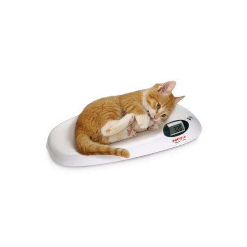 Electronic veterinary weighing scale - Home - Soehnle Industrial Solutions - for small animals / with LCD display / benchtop