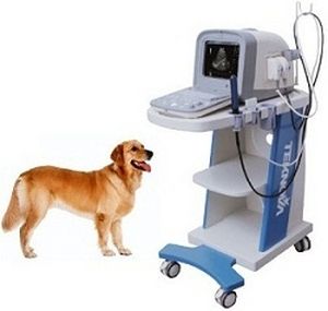 On-platform veterinary ultrasound system - TH-100Vet - Teknova Medical Systems - multipurpose