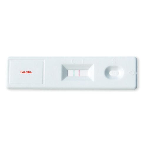 Rapid giardiasis test ODZ016 VIDIA s.r.o Giardia lamblia / stool