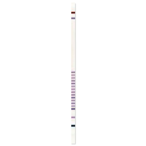Cystic fibrosis test strip - CF StripAssay® - ViennaLab Diagnostics  - for genetic mutations / clinical / molecular