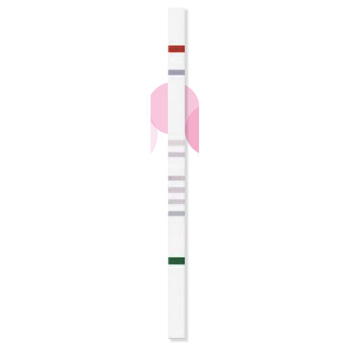 Sugar intolerance test strip -  StripAssay® - ViennaLab Diagnostics  - aldolase / genetic / fructose