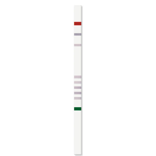 Pharmacogenetic test strip - StripAssay® - ViennaLab Diagnostics  - genetic / HIV