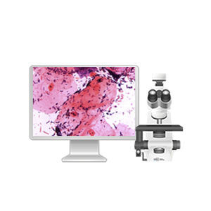 Automatic cell imaging system - 71150.05 - West Medica - laboratory / diagnostic / for microbiology