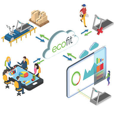 Data management software - ECOFIT - Woodway - monitoring / medical / cloud