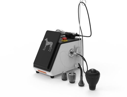 Rehabilitation Veterinary photostimulation laser - GIGAALASER