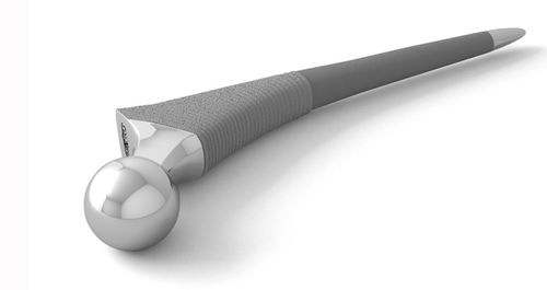 Cementless femoral stem - PBG - Double Medical Technology