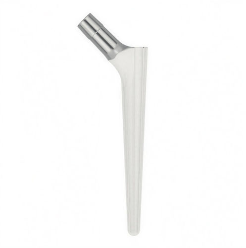Cementless femoral stem - Double Medical Technology