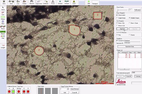 medical software - Leica Microsystems