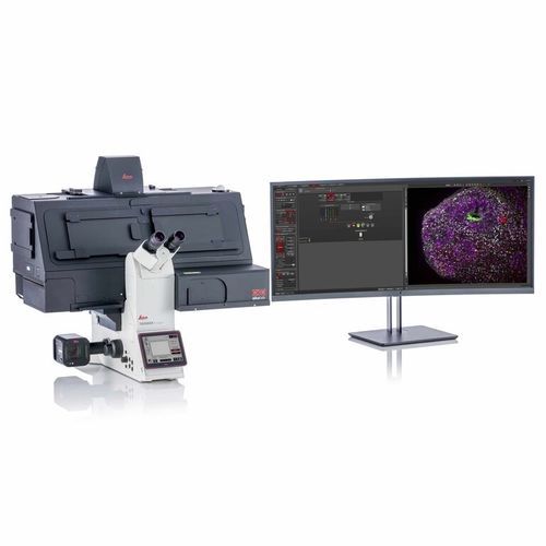 Fluorescence stereo microscope THUNDER Imager Live Cell Leica Microsystems optical / STEM