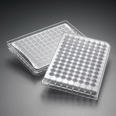 Research microplate - Multiscreen® - Merck - for cell cultures / filtration / filter