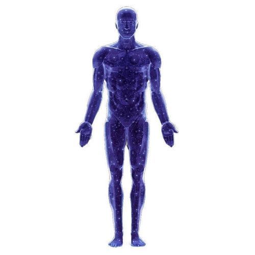 Cardiology AI platform - SonoAI - CHISON Medical Technologies - for hospitals / for medical research / medical imaging