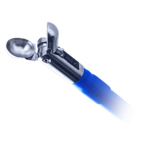 Endoscopy forceps - BIPAL®  - Cordis - tissue grasping / endomyocardial biopsy / stainless steel