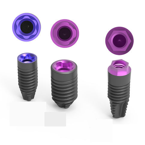 Cylindrical dental implant - Externa® - BTI Biotechnology Institute - titanium / internal / external