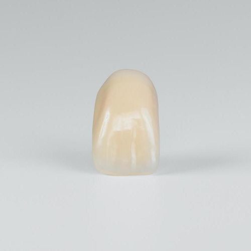 PMMA dental prosthesis - PhysioStar NFC+ - Candulor - anterior teeth / posterior teeth / translucent