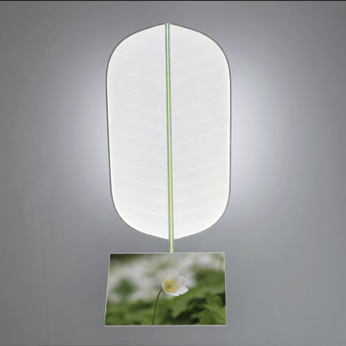 Ceiling-mounted lighting - Leaf with monitor - D-TEC - hospital / for veterinary clinics / aesthetic medicine
