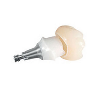 Titanium implant abutment - ANKYLOS® TitaniumBase - DENTSPLY Implants GmbH - internal / straight