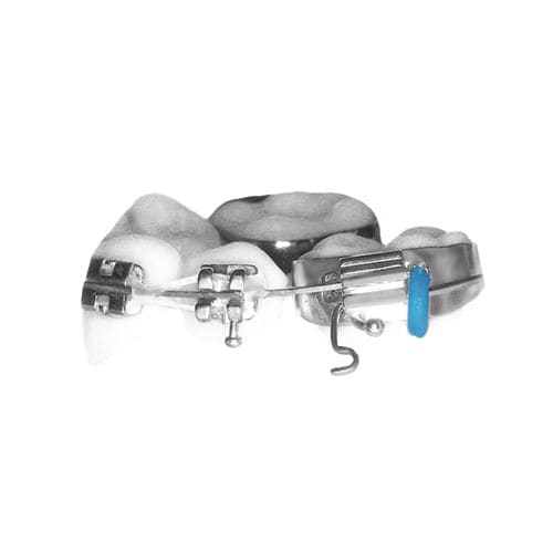 Orthodontic archwire - 307-1015 - FORESTADENT BERNHARD FÖRSTER GMBH  
