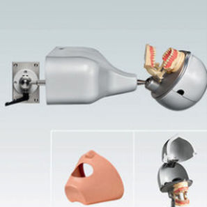 Dental care patient simulator - PK-1 TKUTD - frasaco - head